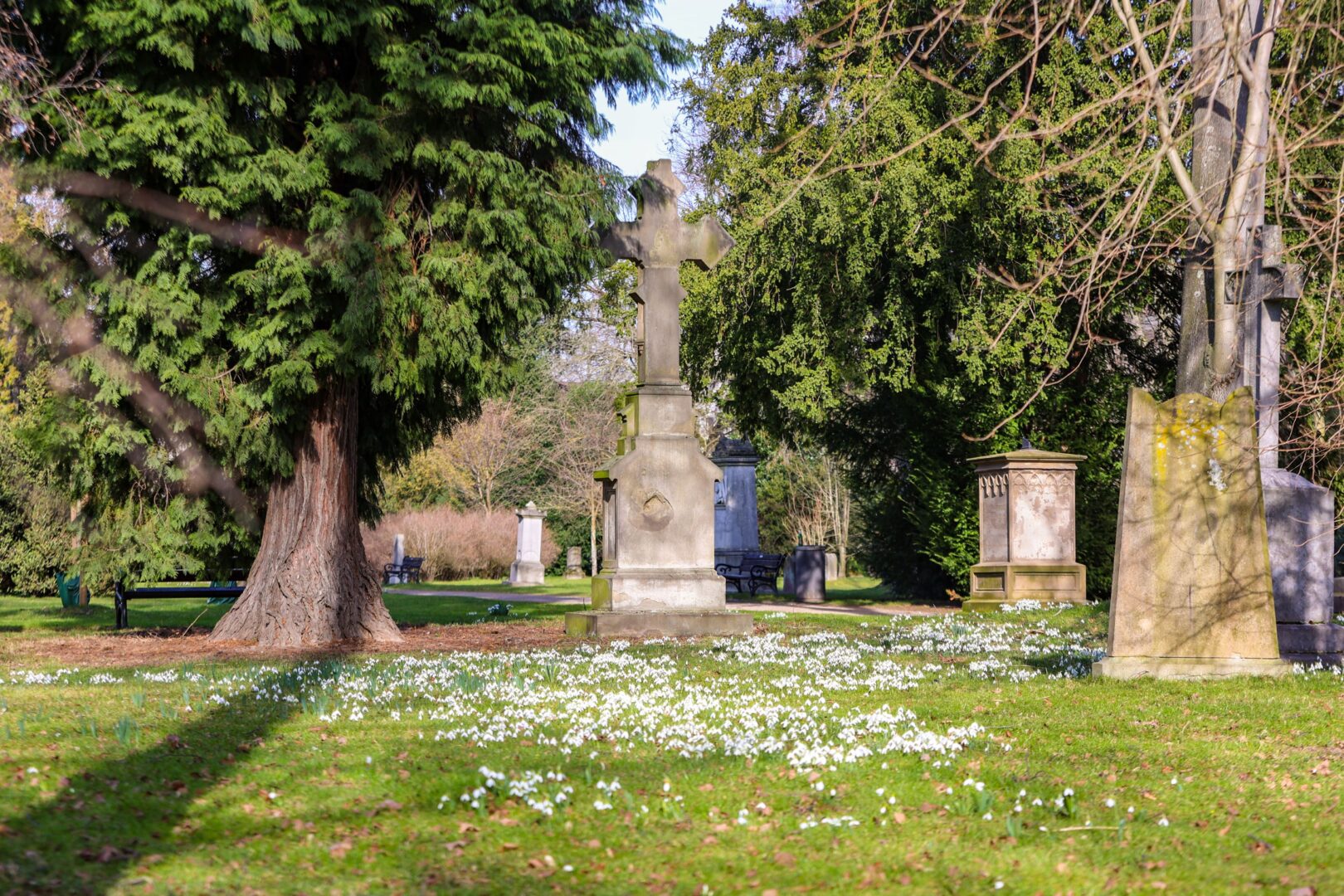Gräber auf dem Alten Golzheimer Friedhof, im Vordergrund eine Wiese mit Blümchen.