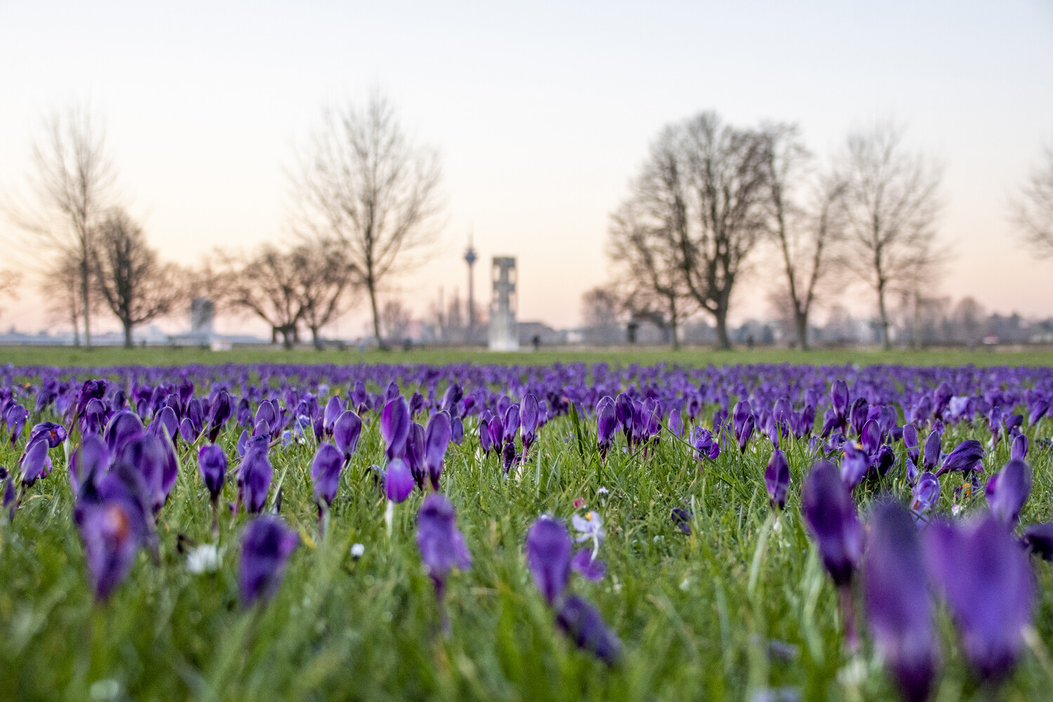 Sechs Spaziergänge, die euch dem Frühling näherbringen