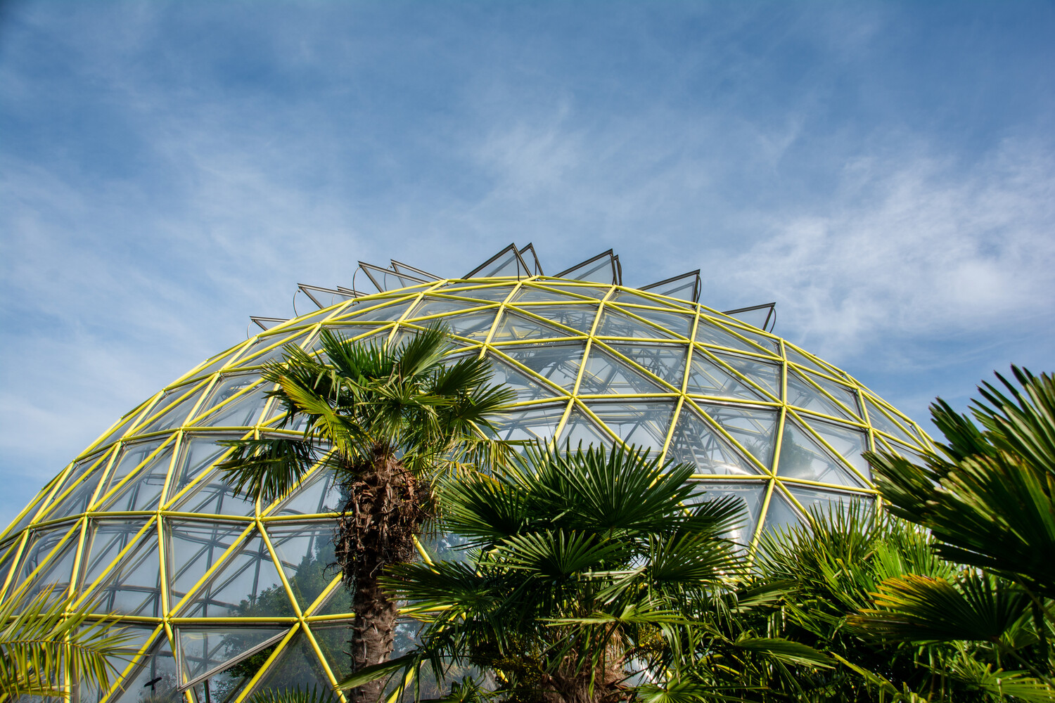 Sechs Highlights im Botanischen Garten