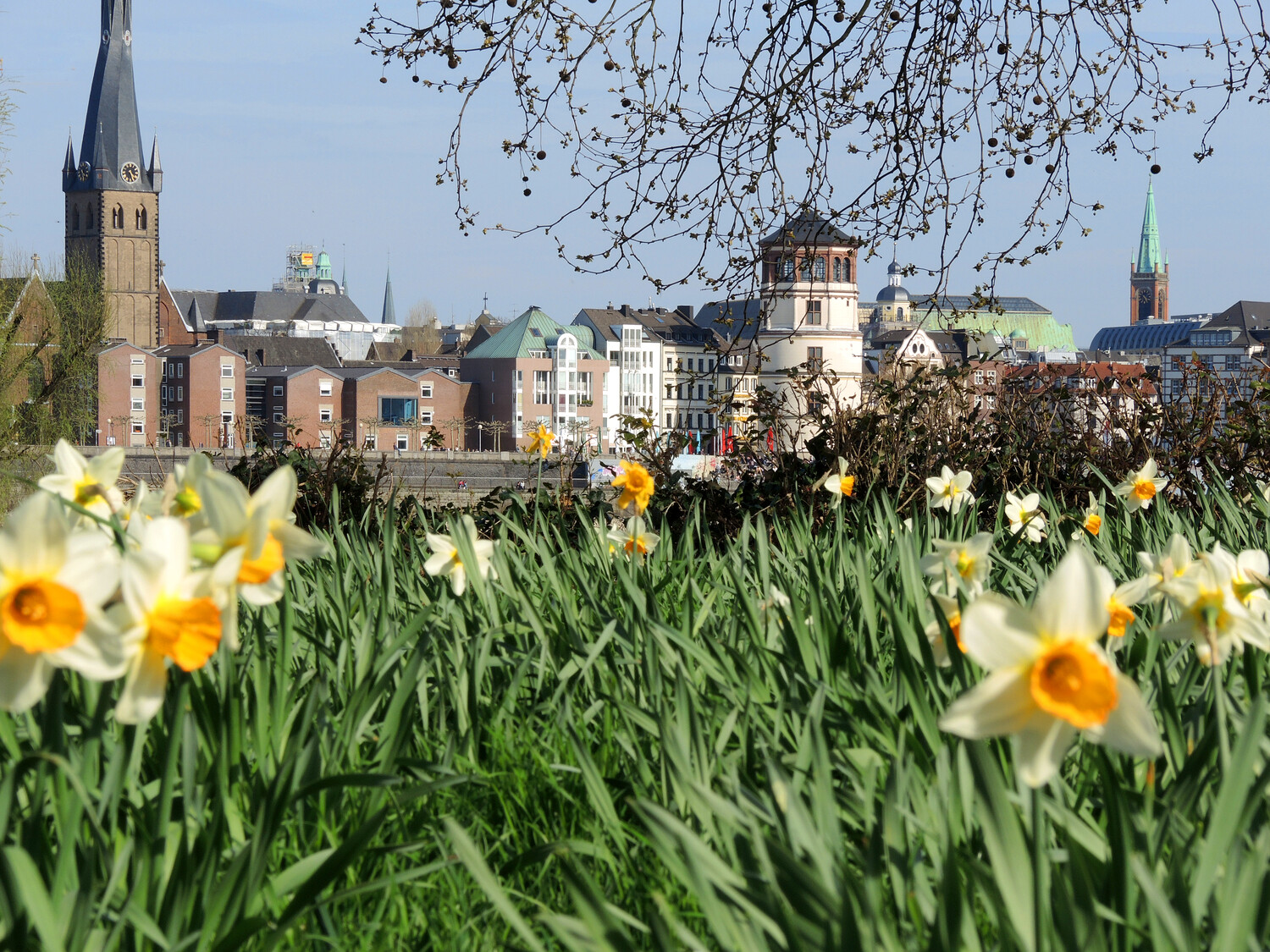 Sechs Unternehmungen, um den Frühling zu begrüßen