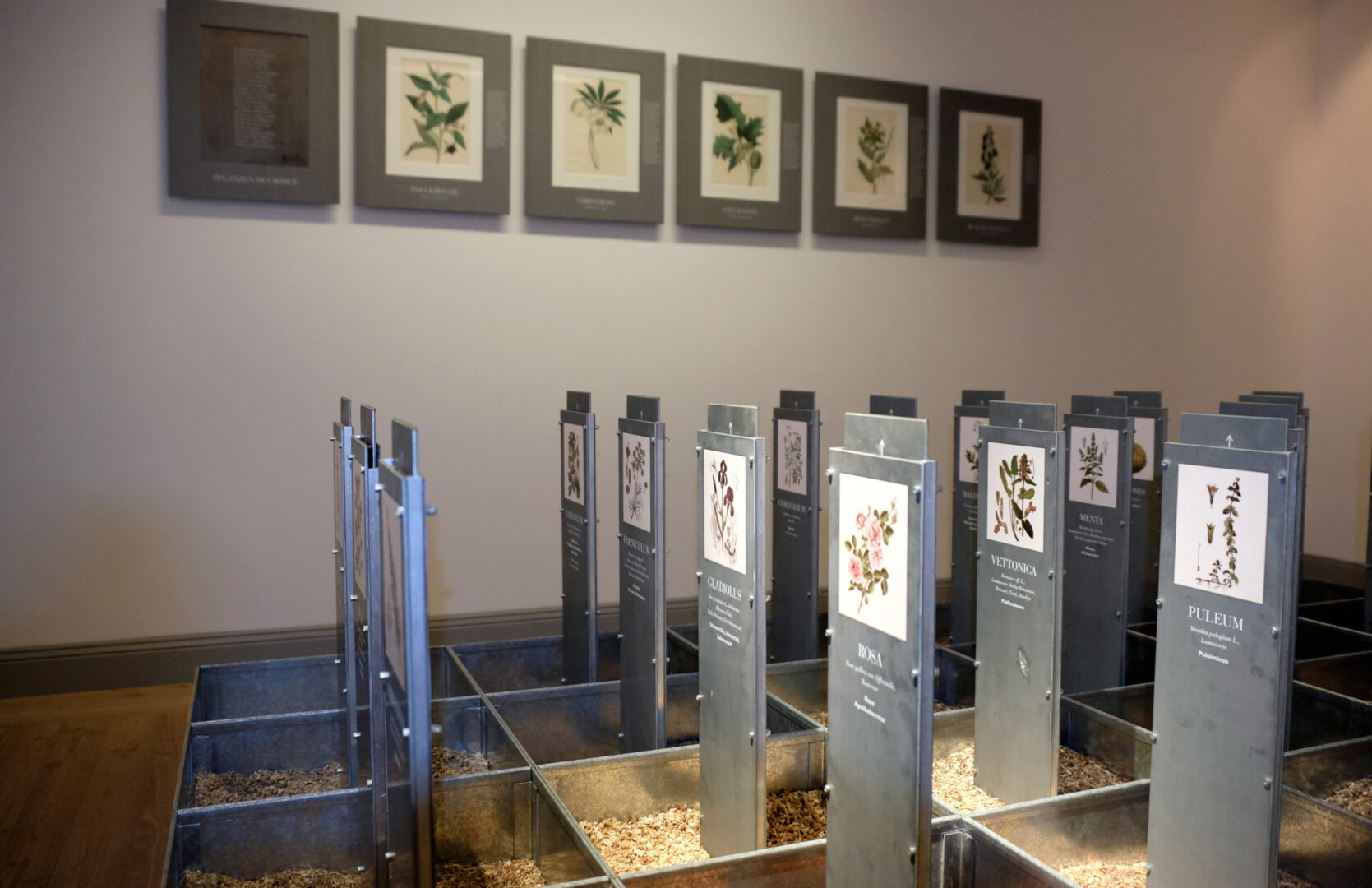 Im Museum für Gartenkunst, auf dem Bild einen Ausstellungsfläche mit Plfanzen, die auf Schildern erklärt werden.
