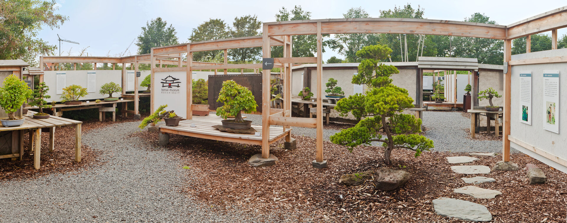 Düsseldorfer Museen: Ausschnitt des Bonsai Museums. Es sind verschiedene Bonsai-Bäumchen outdoor auf der Ausstellungsfläche zu sehen.