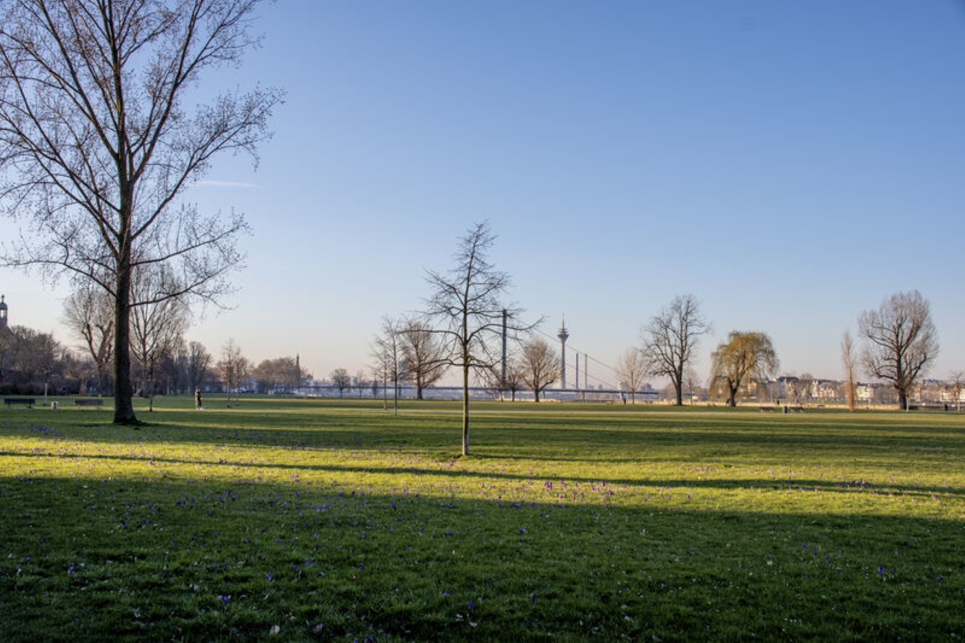Im Golzheim Park können Fußballfans während der UEFA EURO 2024 selbst kicken.