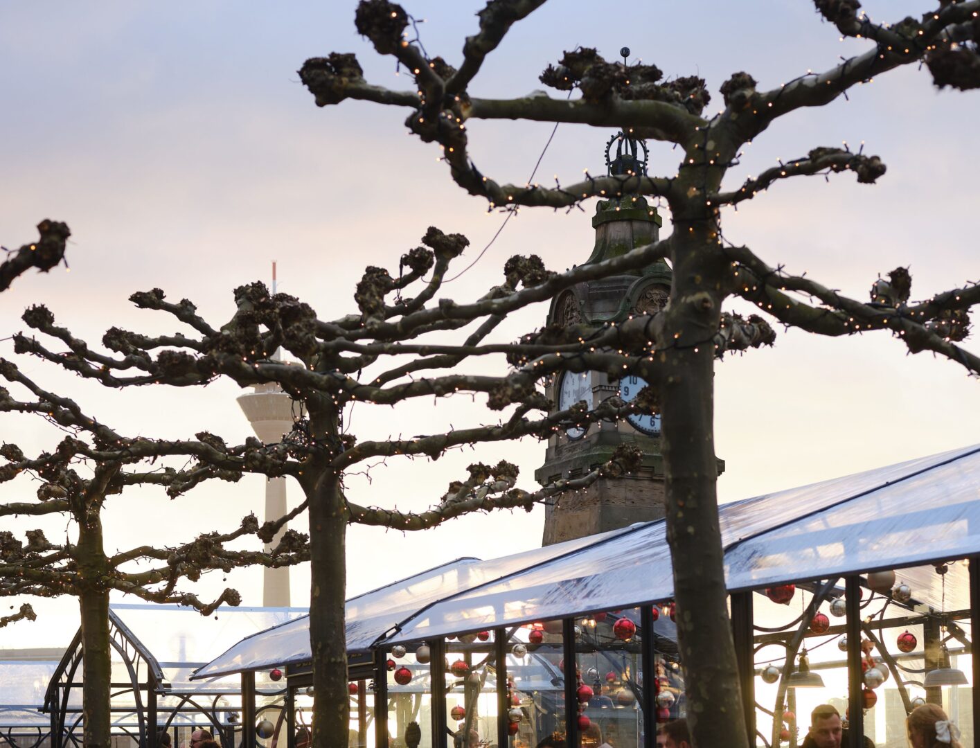 Weihnachstpromenade von Roncalli, man sieht die Glasdächer der Orangerien am Rheinufer, mit Lichtern geschmückte Bäume und dahinter die Rheinpegeluhr und den Rheinturm.