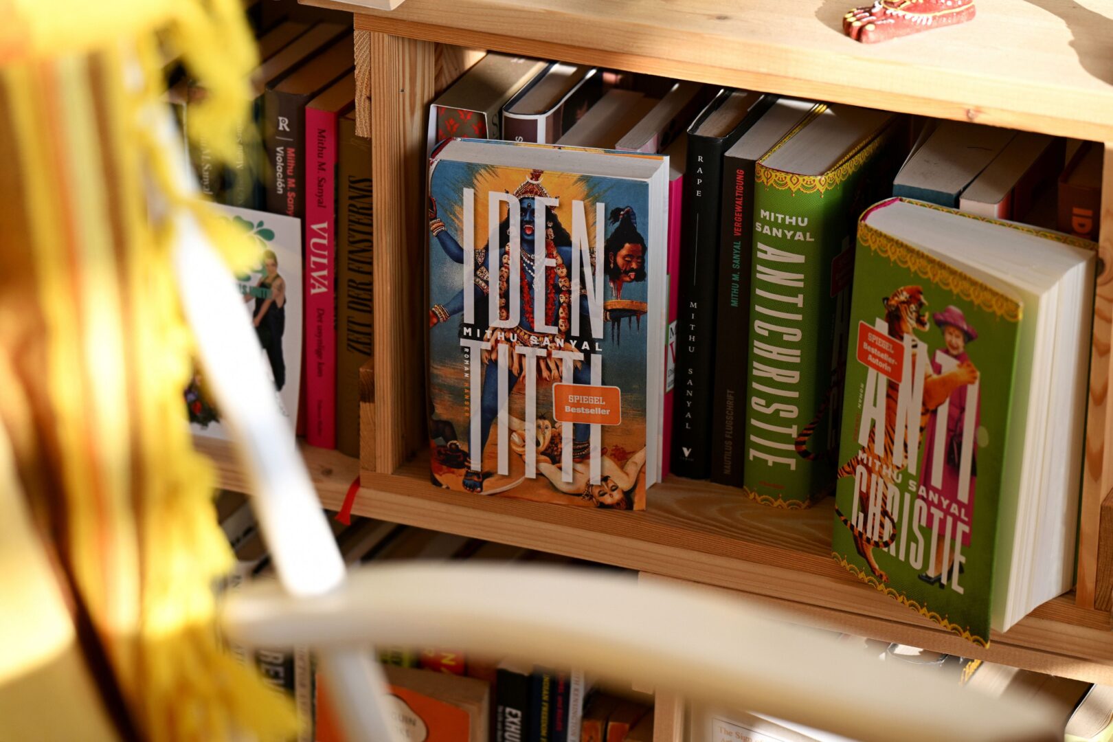 Bücher im Bücherregal von Mithu Sanya.