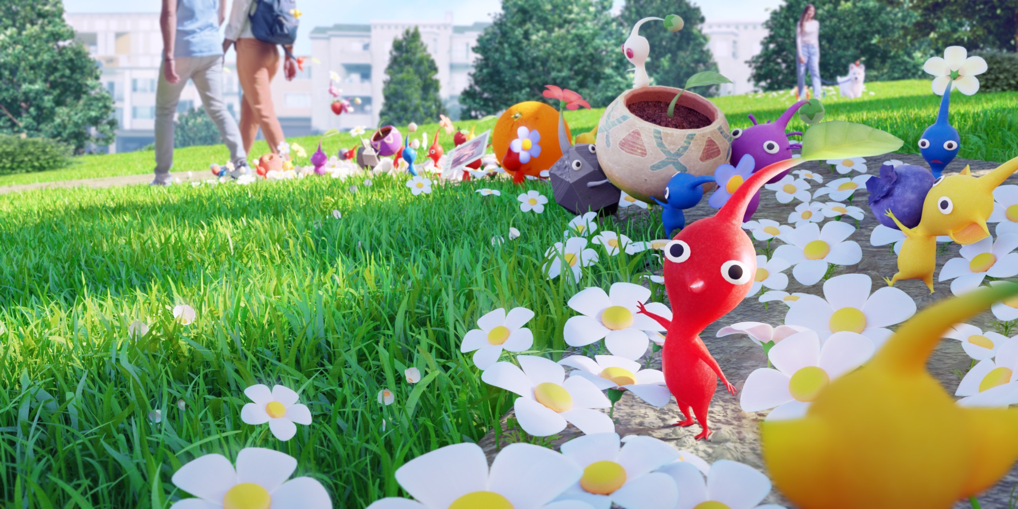 Pikmin Bloom – Tanz der virtuellen Kirschblüten