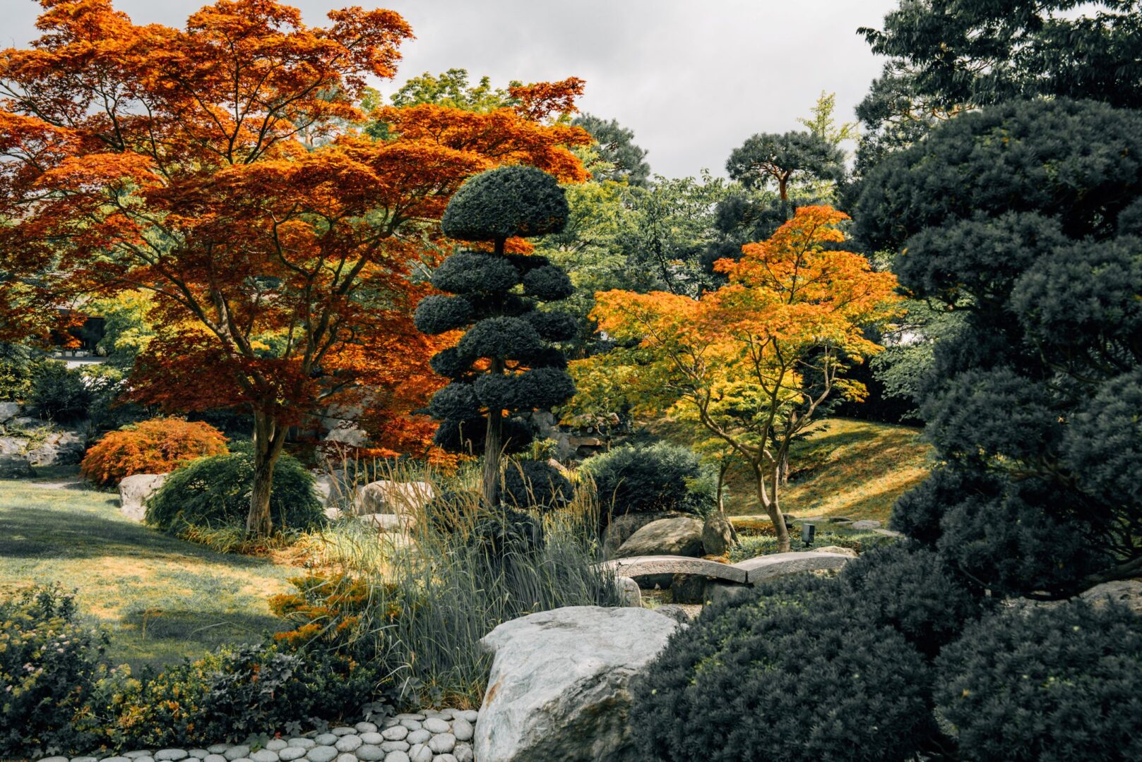 Der Garten des EKO-Hauses, man sieht vor allem die Bäume.