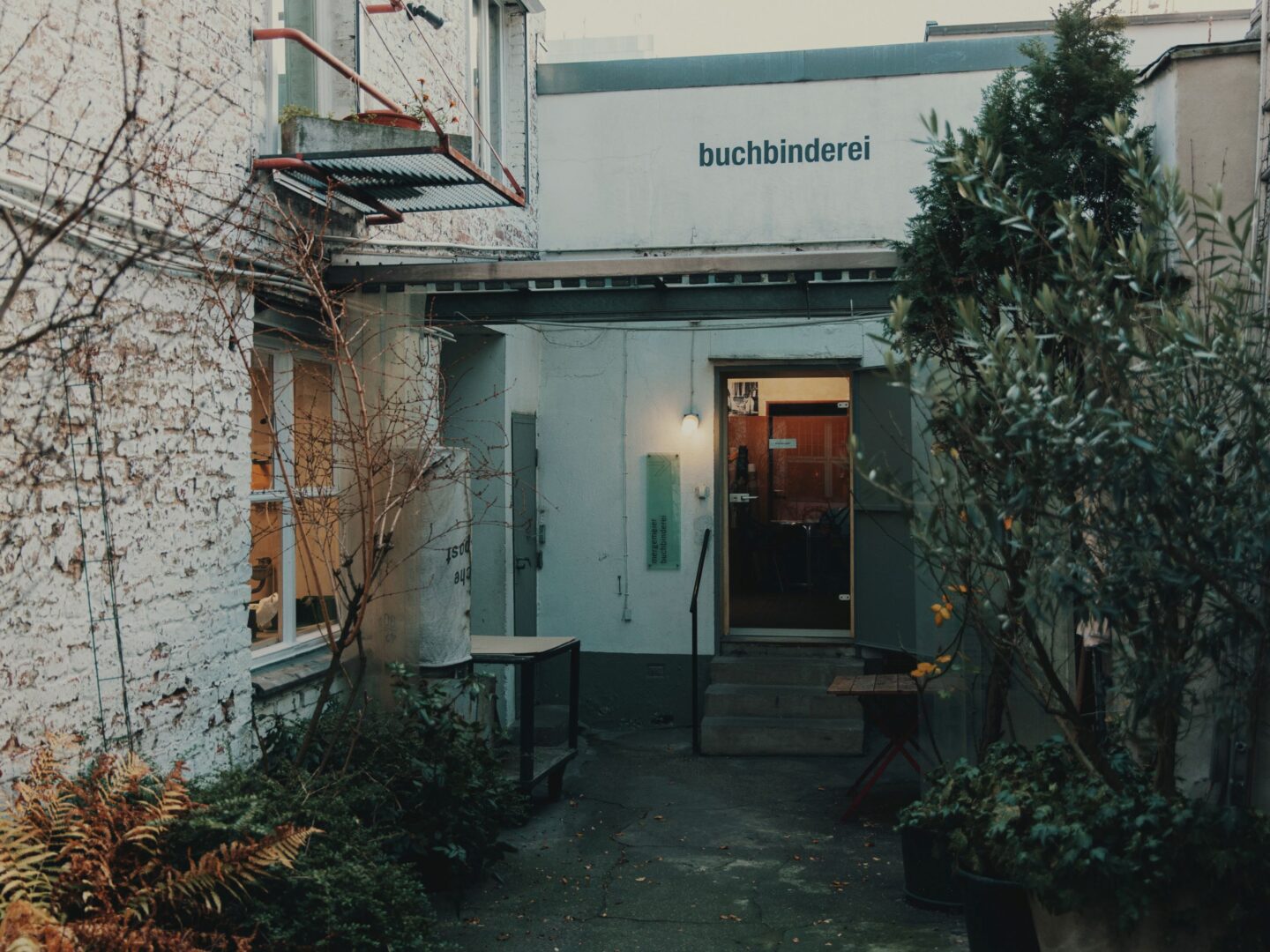 Der Eingang zur Buchbinderei, der in einem Hinterhof liegt. Man sieht links eine weiß getünchte Backsteinwand mit Fenster und umrankenden Pflanzen im Winter.