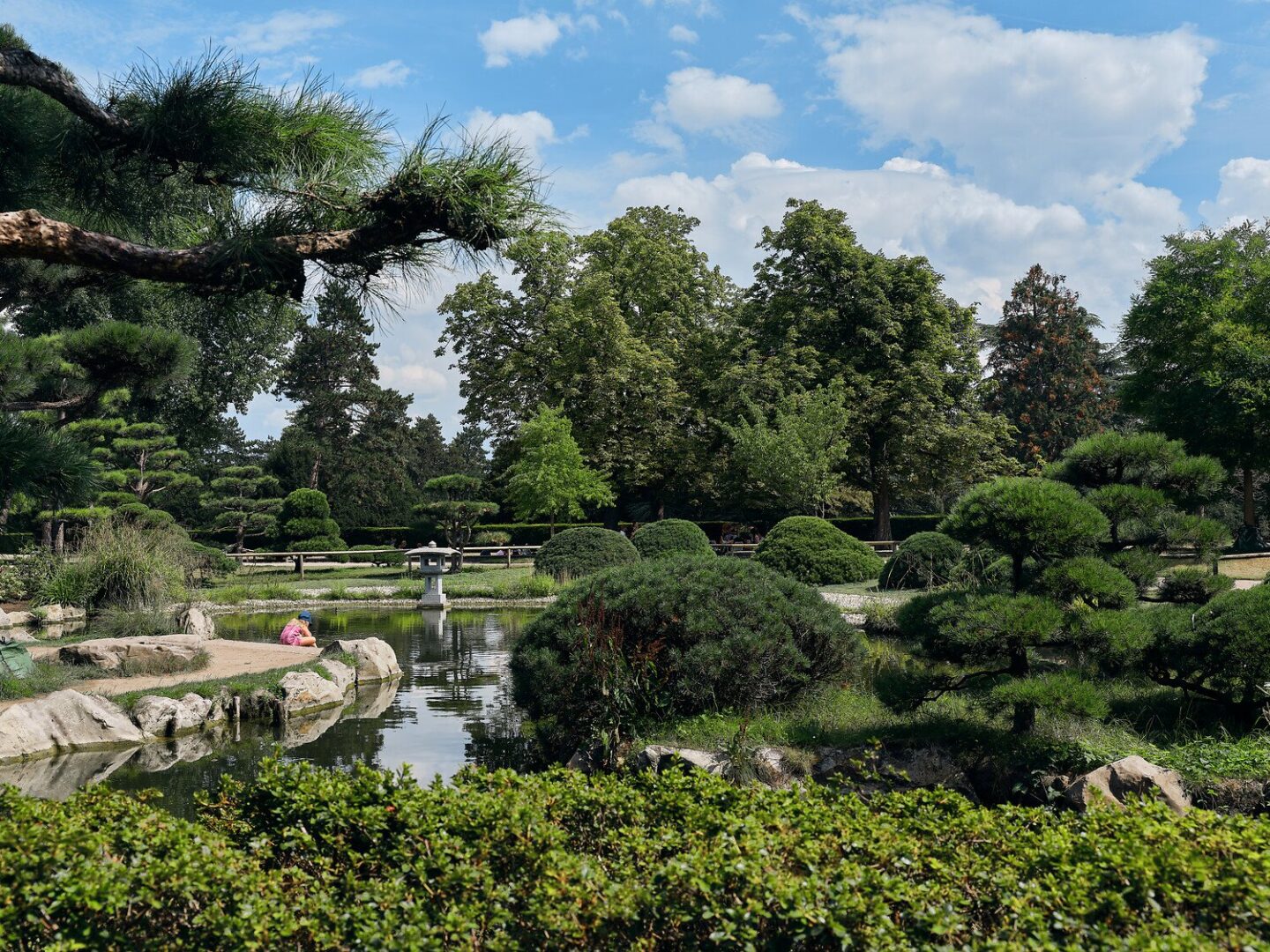 Man sieht strahlend blauen Himmel mit weißen Wölkchen und darunter die in Form geschnittenen Bäume im japanischen Garten. 