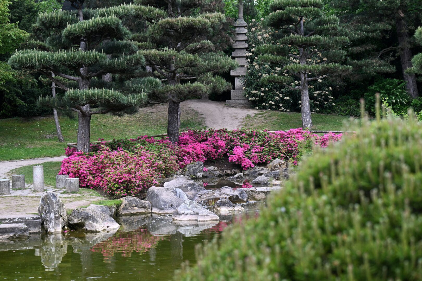 Der japanische Garten Düsseldorf. Man sieht hinten im Bild eine Art Säule aus aufgeschichteten großen Steinen. vorne sind Blumen und der Teil. Die Säule verschwindet ein bisschen zwischen Baumstämmen. 