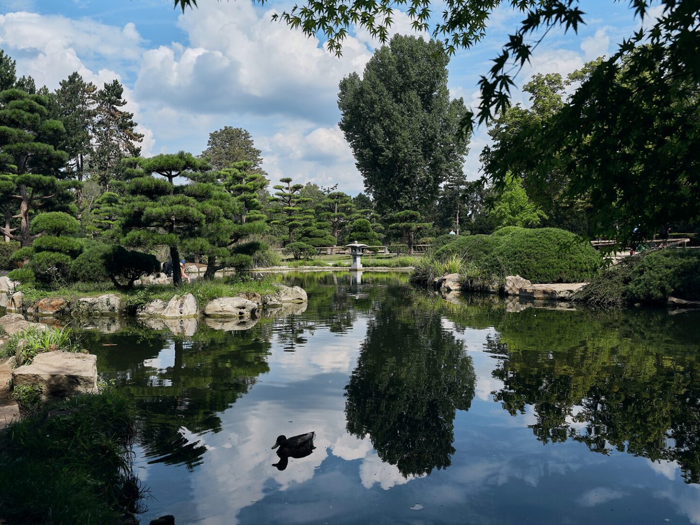 Der japanische Garten Düsseldorf: Man sieht den großen Teich, in dem sich sehr pittoresk die Bäume spiegeln. 