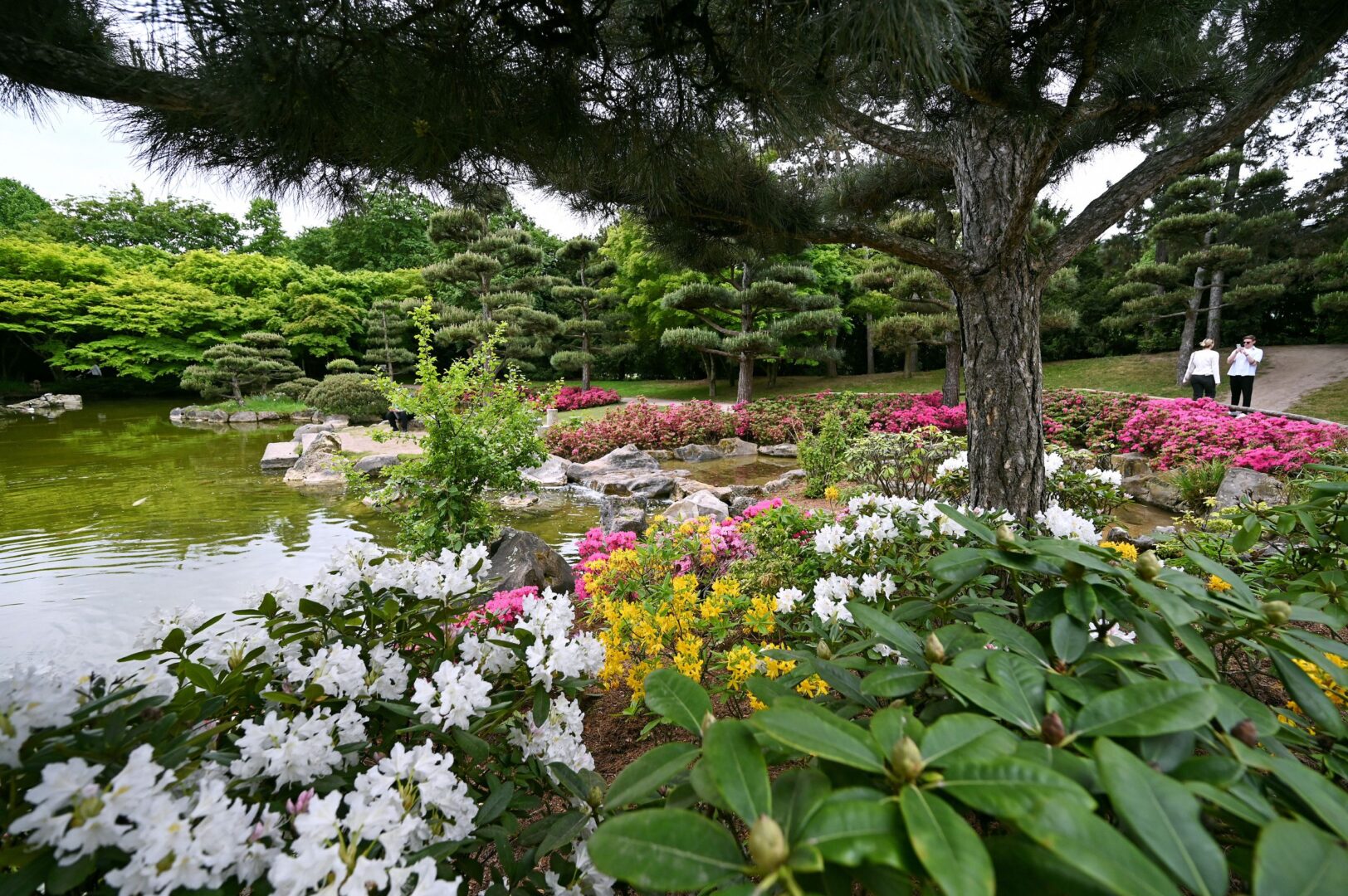 Man sieht im Vordergrund Blumenrabatten, die Blüten sind weiß, pink und gelb. Dahinter der Teich. 